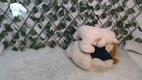 charly_evans60 online show from March 2, 11:09 pm