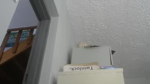 chaturbatordeluxe online show from December 21, 5:47 am