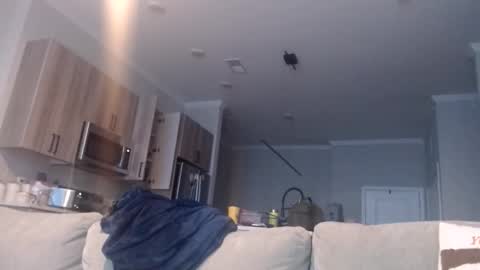 Chef Dev XXX online show from November 19, 3:45 pm