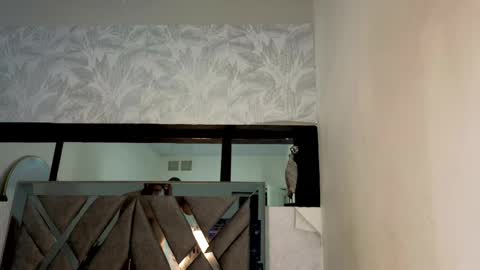   online show from April 15, 2:40 am