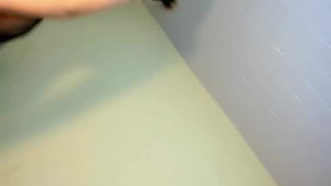 Snapshot of cherrybitex chatting on February 17, 12:12 pm cherrybitex online show from February 17, 12:12 pm