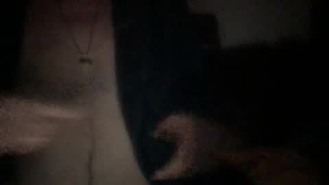 Snapshot of chevalier202 chatting on June 5, 10:26 pm chevalier202 online show from June 5, 10:26 pm