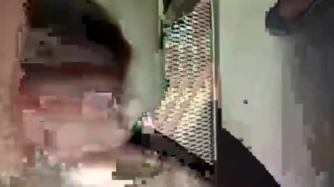 Snapshot of chinacock_16cm chatting on August 8, 5:59 pm chinacock_16cm online show from August 8, 5:59 pm