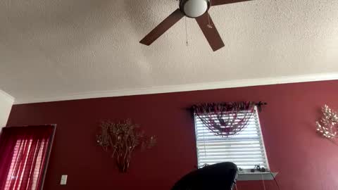 CHINO online show from February 24, 5:00 pm