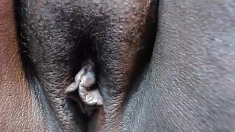 chocolatabig online show from November 9, 6:28 pm