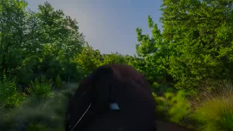 Snapshot of chris2024x chatting on November 10, 7:51 am Christian online show from November 10, 7:51 am