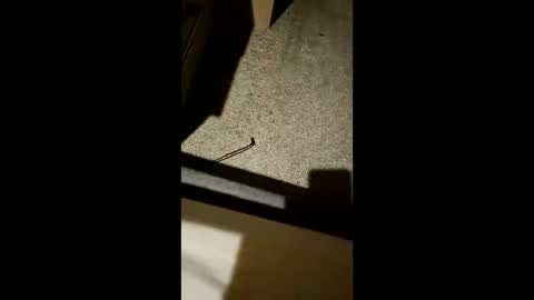 Snapshot of chrisgogo121 chatting on November 17, 10:26 pm chrisgogo121 online show from November 17, 10:26 pm