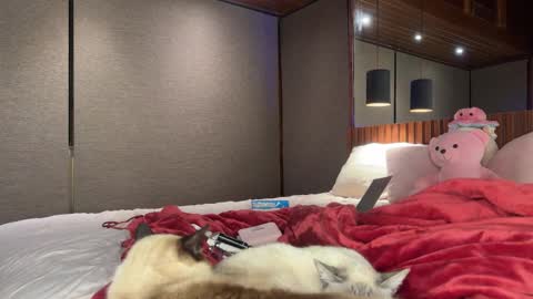 Christina Sage online show from September 18, 4:03 am