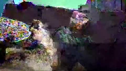 christopher1087 online show from March 3, 7:58 am