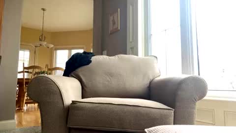 Snapshot of cinapw chatting on December 21, 3:53 pm cinapw online show from December 21, 3:53 pm