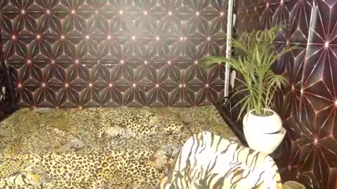 Cindy online show from January 7, 3:35 am