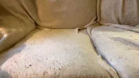 join the circle online show from December 17, 4:53 pm