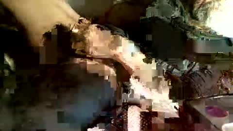 dan online show from March 5, 4:13 am