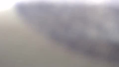 clamsynana online show from March 22, 2:09 pm