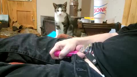 Snapshot of claygilmeriii chatting on December 18, 12:21 am Clay online show from December 18, 12:21 am