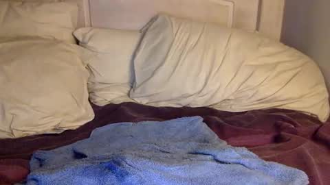 Snapshot of cleanuponaisle2 chatting on February 4, 3:11 am Anon online show from February 4, 3:11 am