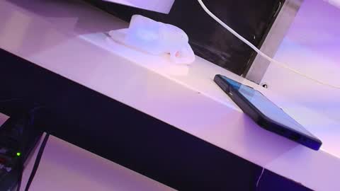 Cleo Adams online show from January 24, 7:51 am