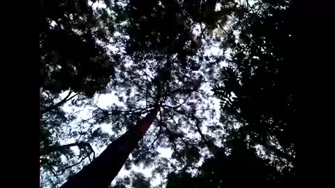 Snapshot of cmdwmd chatting on January 26, 8:57 am Matriarch Muse online show from January 26, 8:57 am