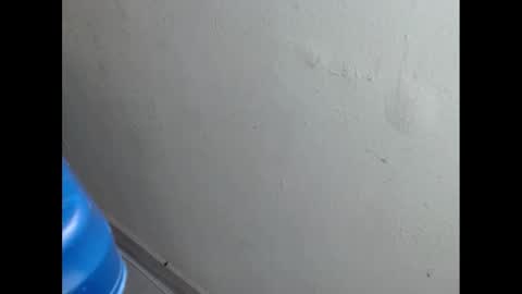 Snapshot of cockfanx chatting on February 21, 1:55 pm cockfanx online show from February 21, 1:55 pm