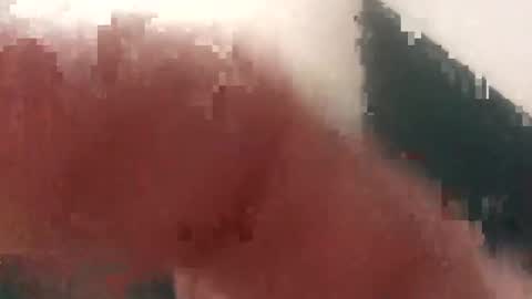 Cockhunter online show from September 11, 12:38 pm
