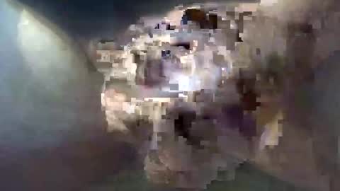 cocktoys online show from October 30, 8:49 am