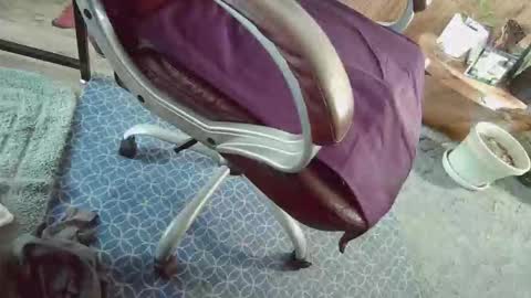 cody81421 online show from January 12, 2:22 pm