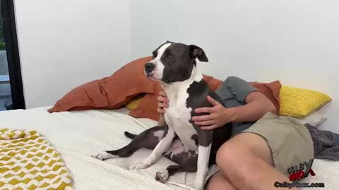 colbyknox online show from November 4, 10:53 pm