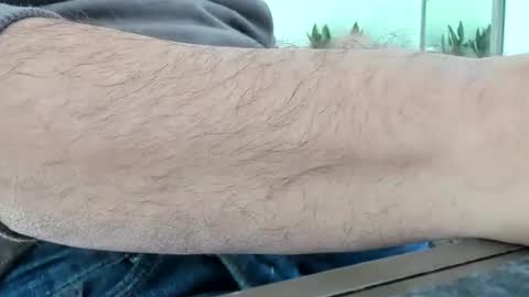 Colt online show from November 17, 2:12 pm