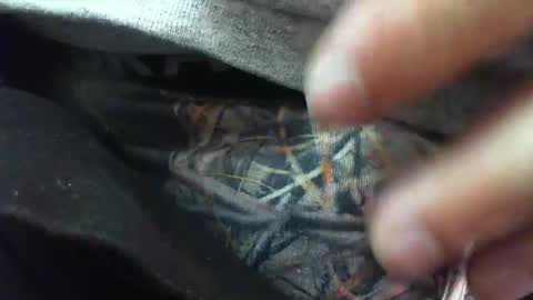 Snapshot of comox1961 chatting on March 6, 8:30 am comox online show from March 6, 8:30 am