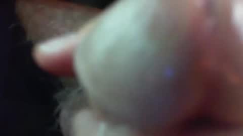 Snapshot of comox1961 chatting on November 29, 5:21 am comox online show from November 29, 5:21 am