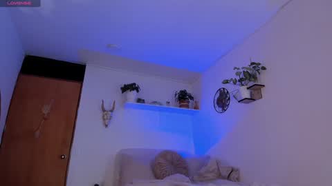 connie    online show from January 20, 1:53 pm