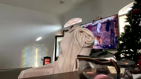 Snapshot of controllercutie chatting on December 17, 2:45 pm controllercutie online show from December 17, 2:45 pm