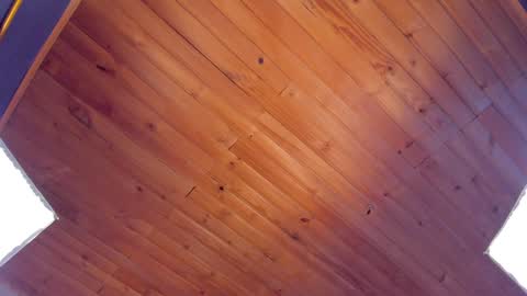 Snapshot of coraline_latin chatting on January 24, 1:45 am Coraline online show from January 24, 1:45 am