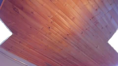 Snapshot of coraline_latin chatting on January 25, 12:27 am Coraline online show from January 25, 12:27 am