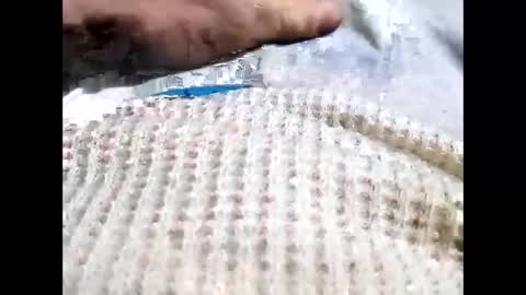 cowboyup696969723295 online show from February 9, 5:33 am