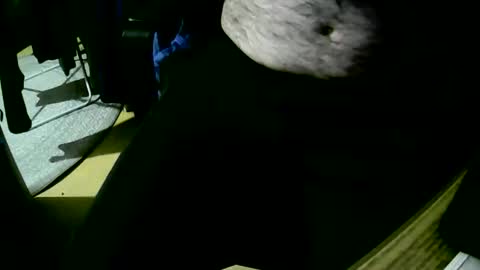 coyote017 online show from October 22, 6:18 pm