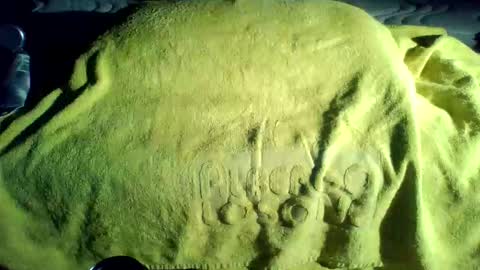 crave_me_ online show from November 20, 1:50 am