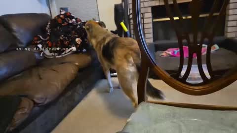 The hopeless romantic online show from September 27, 8:08 am