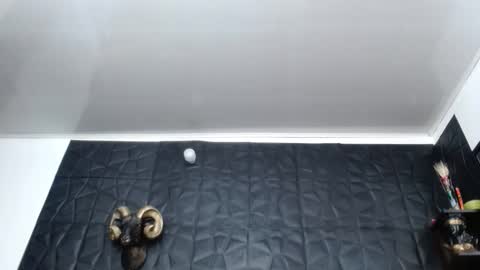 Hanna  online show from February 26, 10:25 am