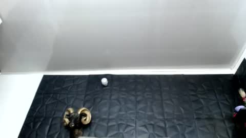 Snapshot of cristal_smith06 chatting on June 12, 7:07 am Hanna online show from June 12, 7:07 am