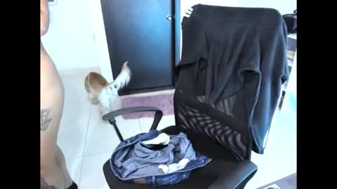 Snapshot of cristinasweet7 chatting on November 30, 3:32 am cristinasweet7 online show from November 30, 3:32 am