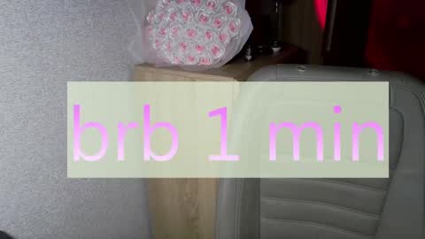 Snapshot of crystallkris chatting on December 14, 3:40 am Kristina online show from December 14, 3:40 am