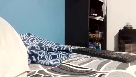 cumbian_chero online show from February 23, 11:07 am