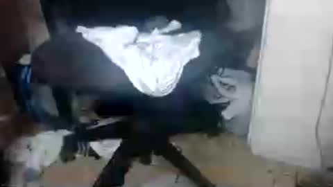 XXXBIGBLACKDICCK online show from June 14, 3:19 am