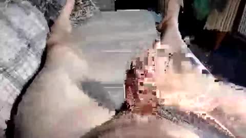 Paul online show from October 10, 10:47 am