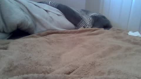 Snapshot of cummbumm69 chatting on July 12, 10:28 am cummbumm69 online show from July 12, 10:28 am