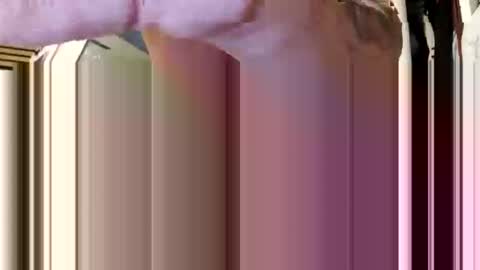 Aprilia online show from February 5, 8:41 am