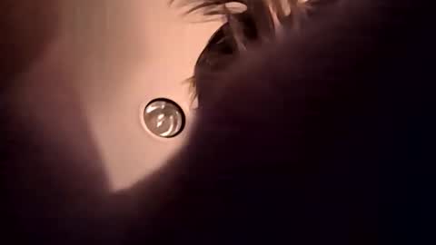 Snapshot of cumupxxx chatting on November 17, 11:49 am cumupxxx online show from November 17, 11:49 am