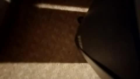 cumwith_me80 online show from April 8, 9:31 am