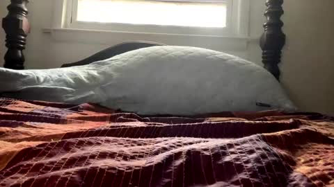 Snapshot of curiousperformance chatting on December 4, 1:53 pm Curiousperformance online show from December 4, 1:53 pm